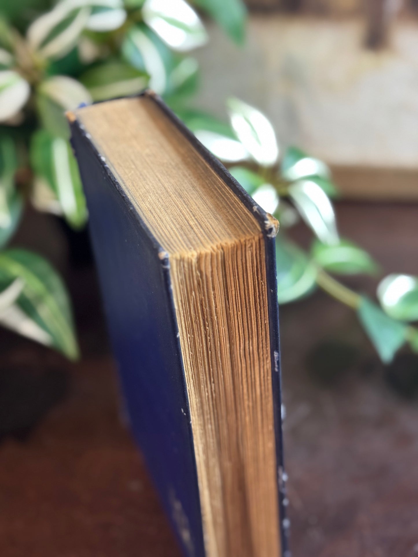 The Cross in Christian Experience