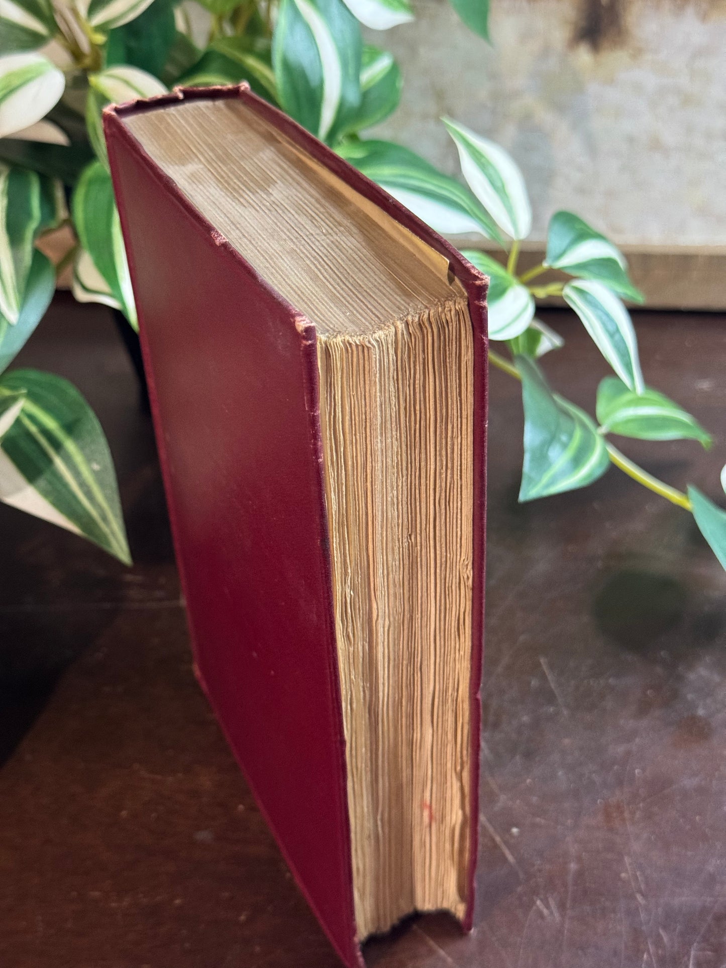 A History of the English Church