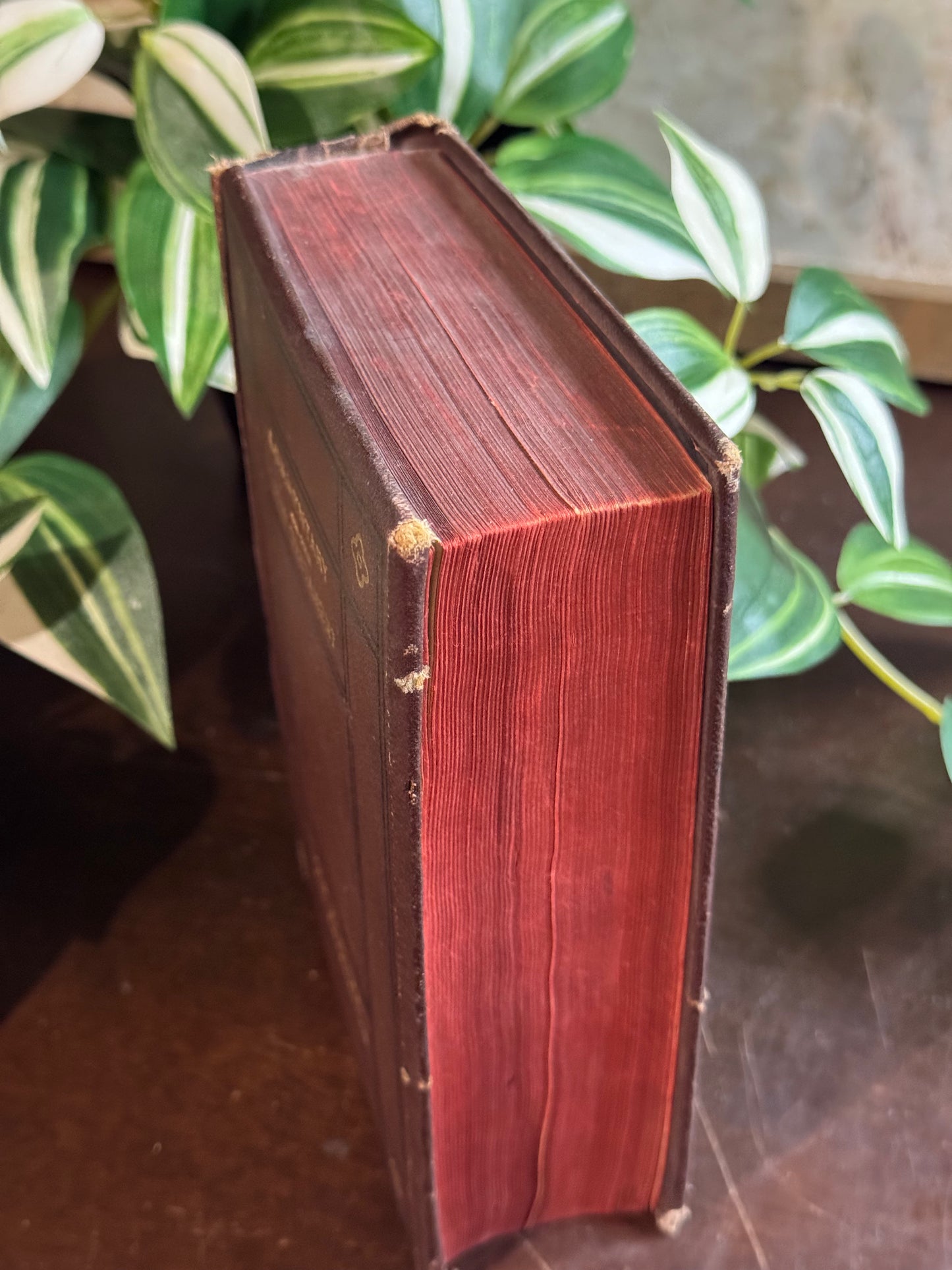 Commentary on the New Testament