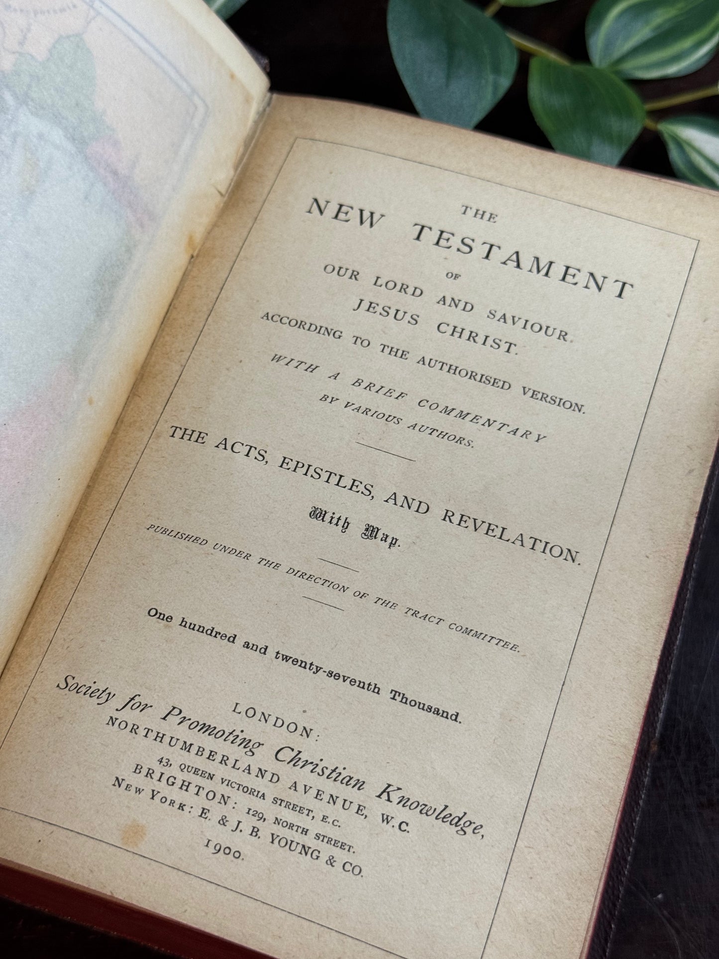 Commentary on the New Testament