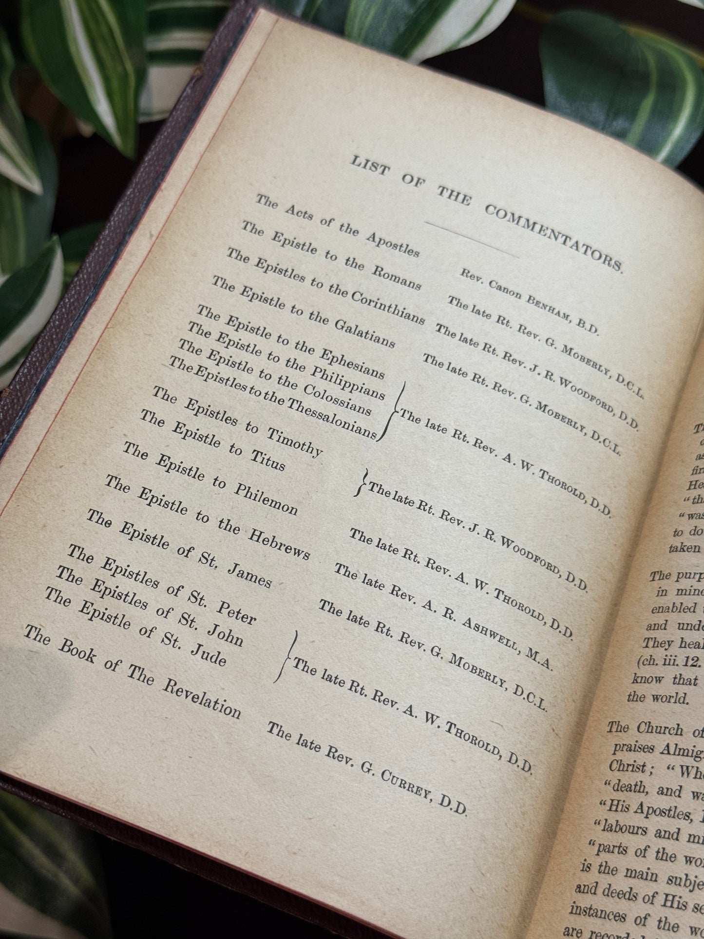 Commentary on the New Testament