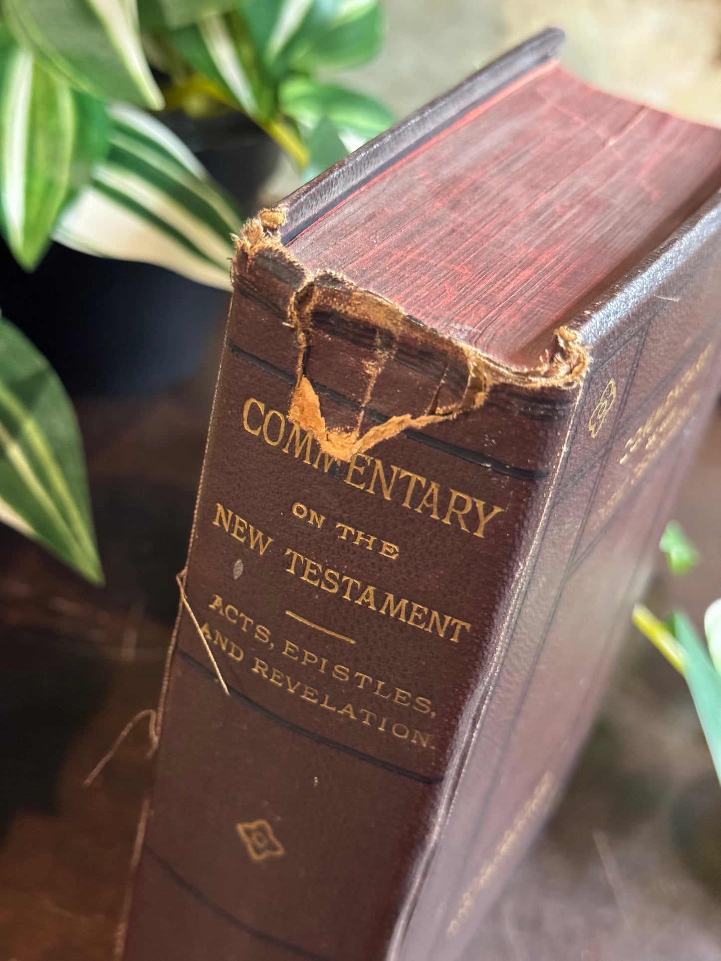 Commentary on the New Testament