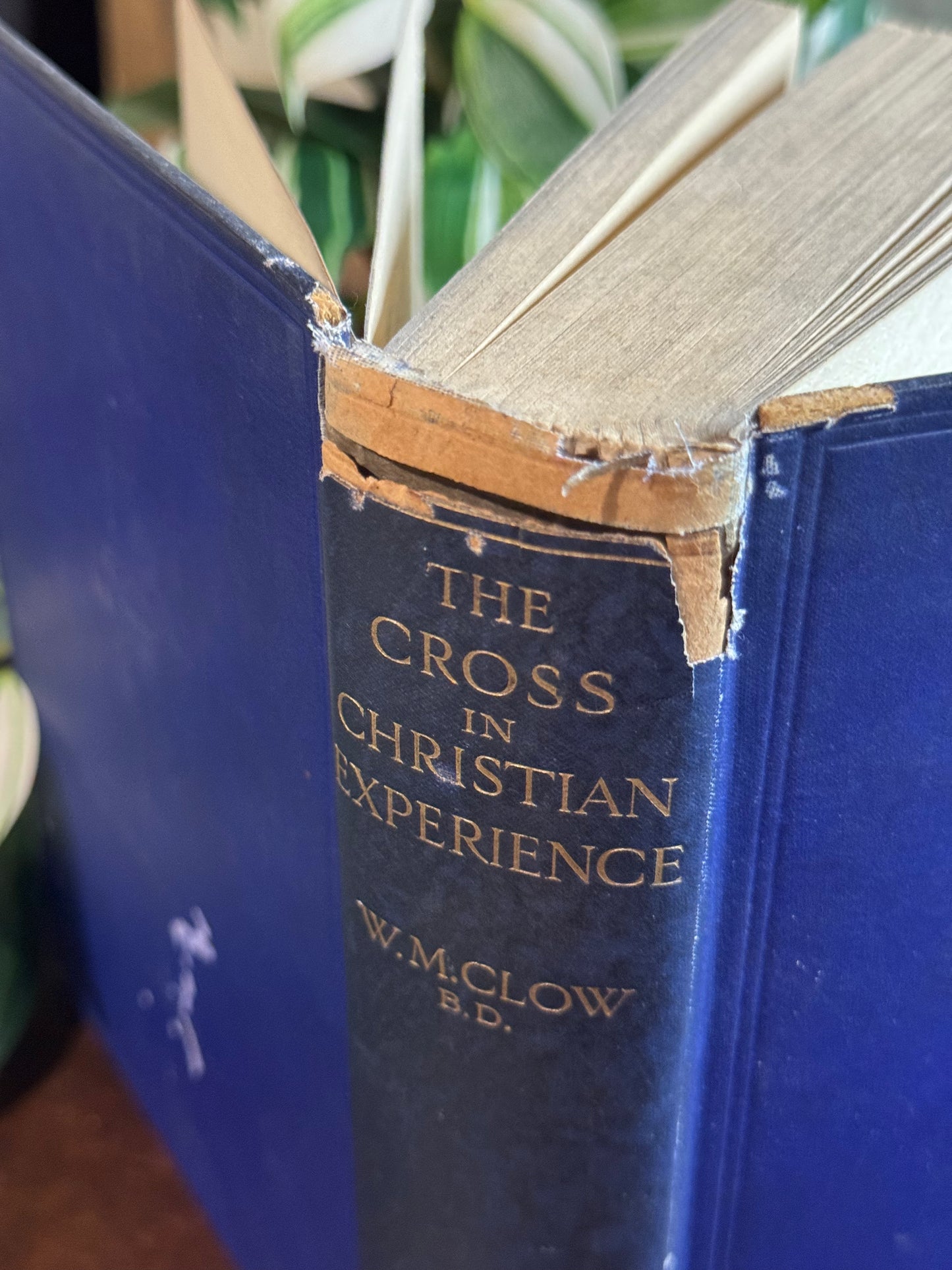 The Cross in Christian Experience