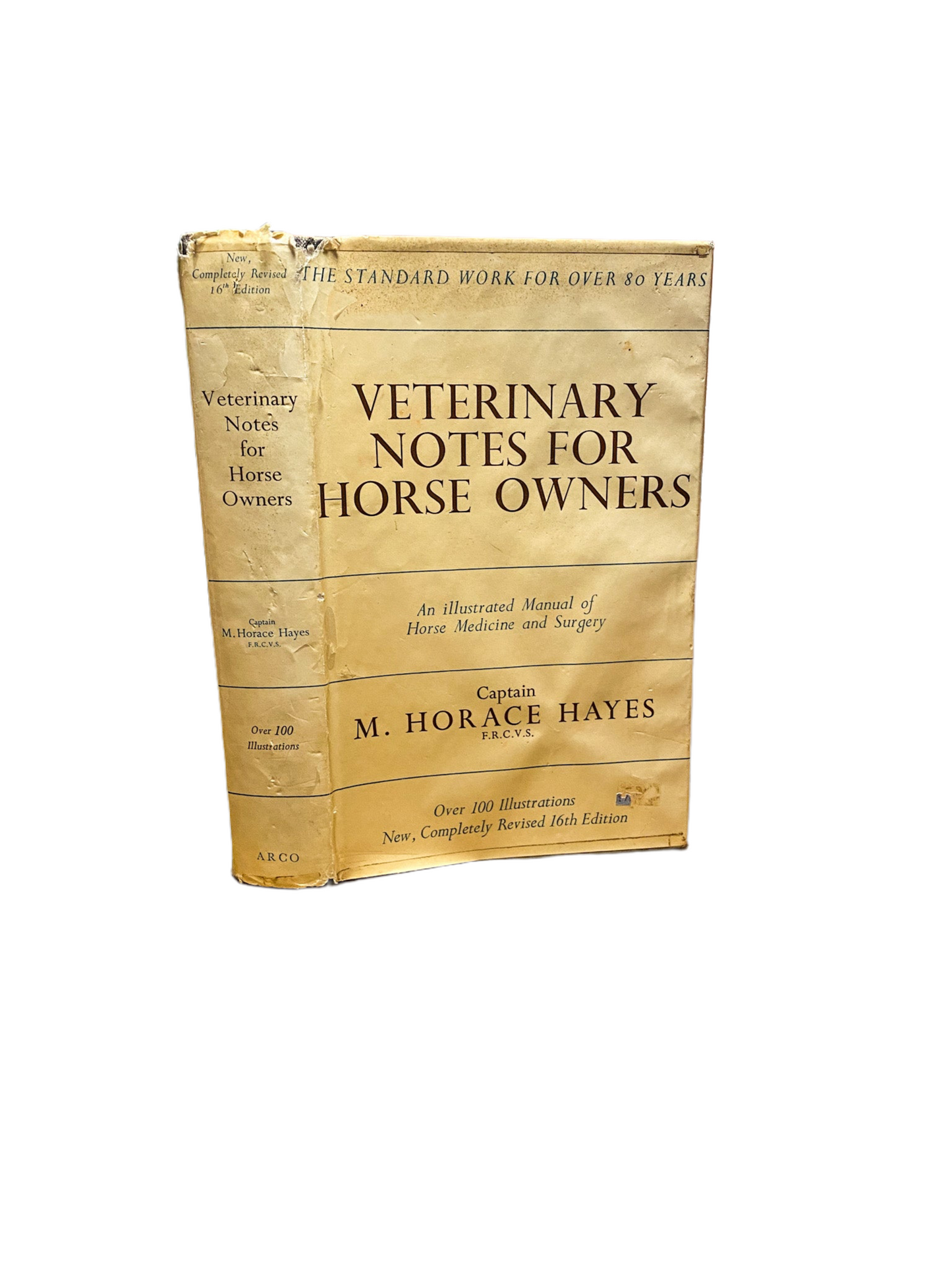 Veterinary Notes For Horse Owners