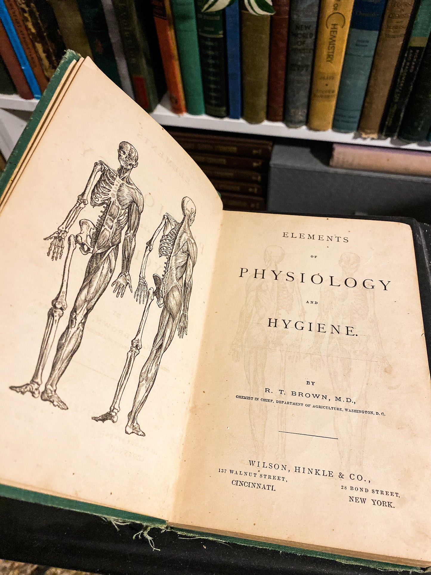 Elements of Physiology and Hygiene