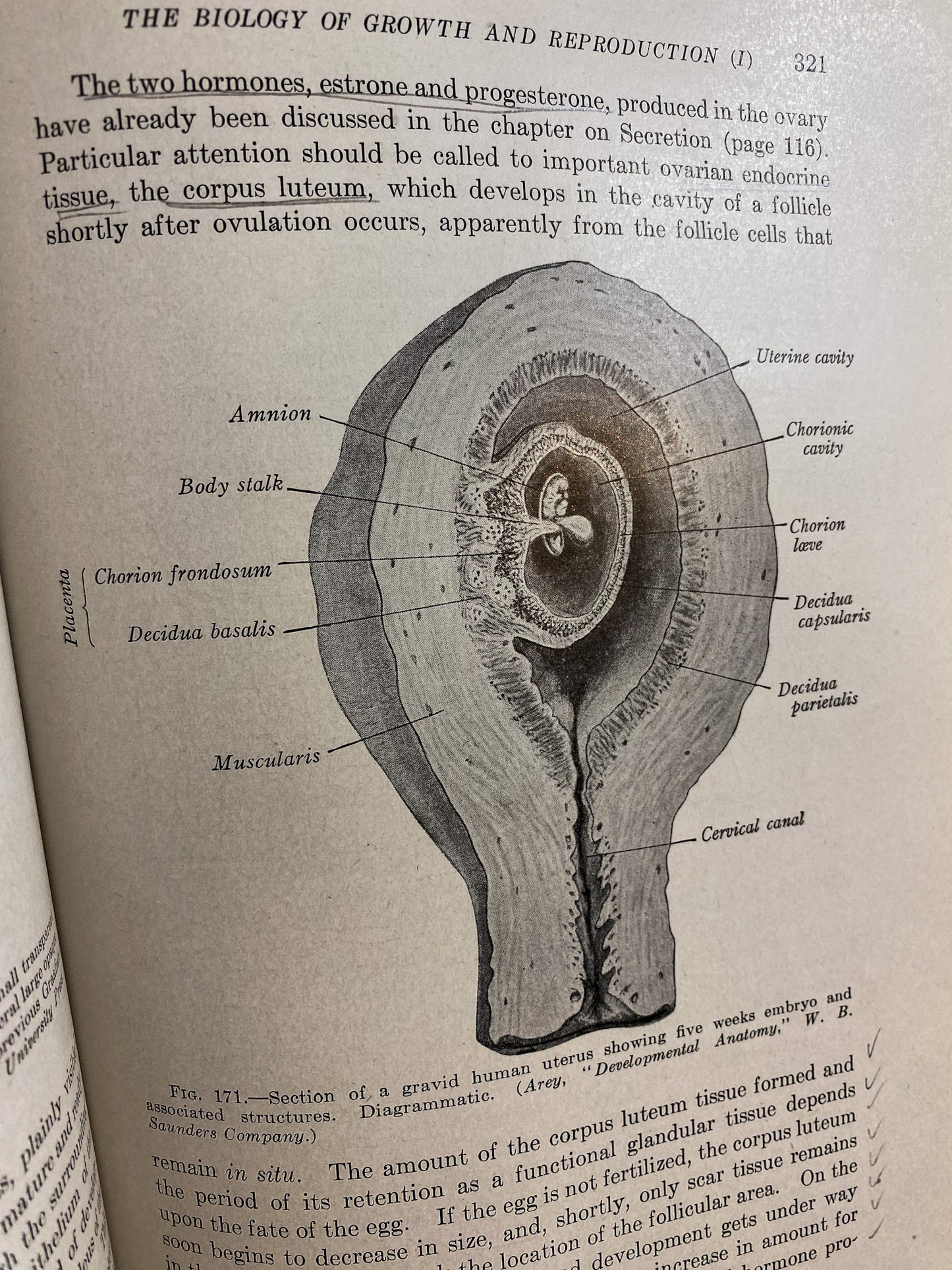 Human Biology