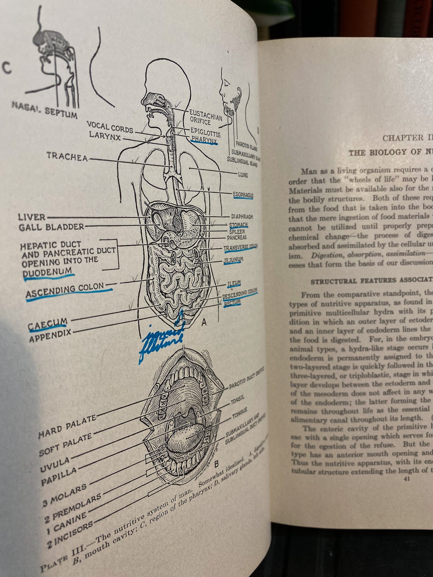 Human Biology