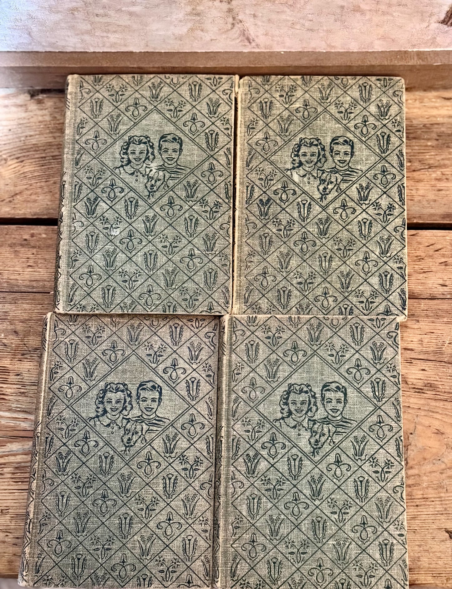 The Bobbsey Twins (set of 4)