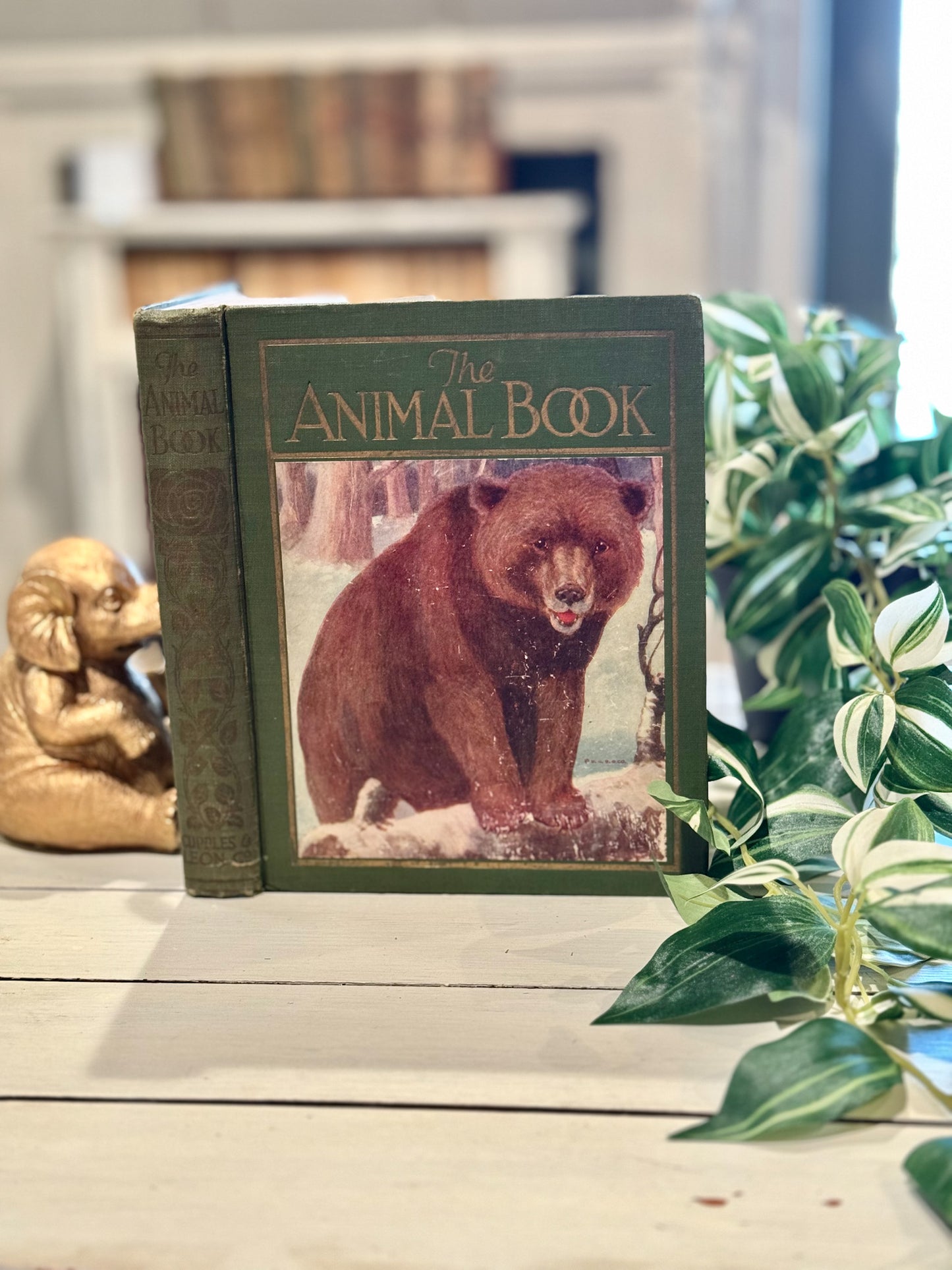 The Animal Book