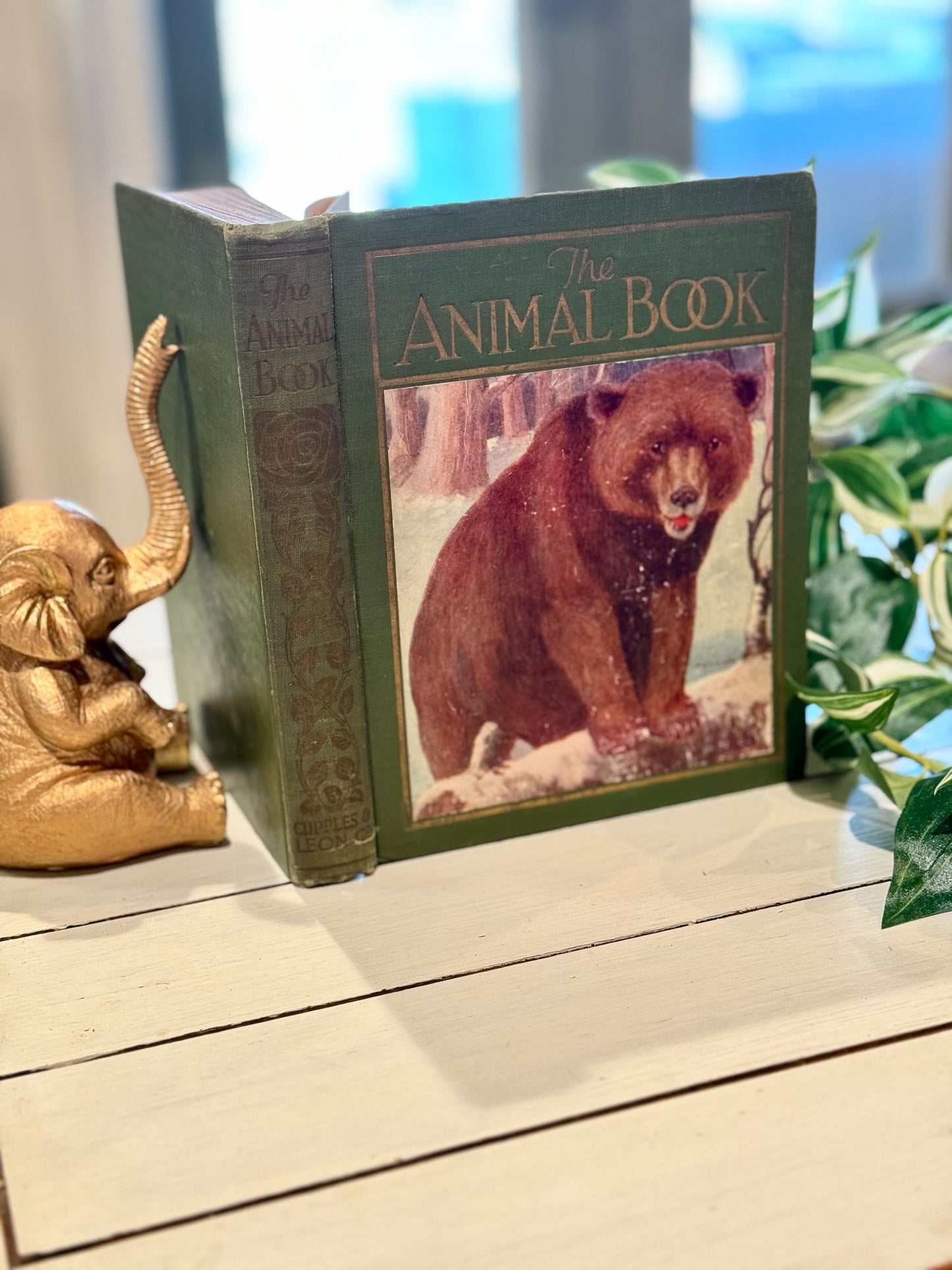 The Animal Book