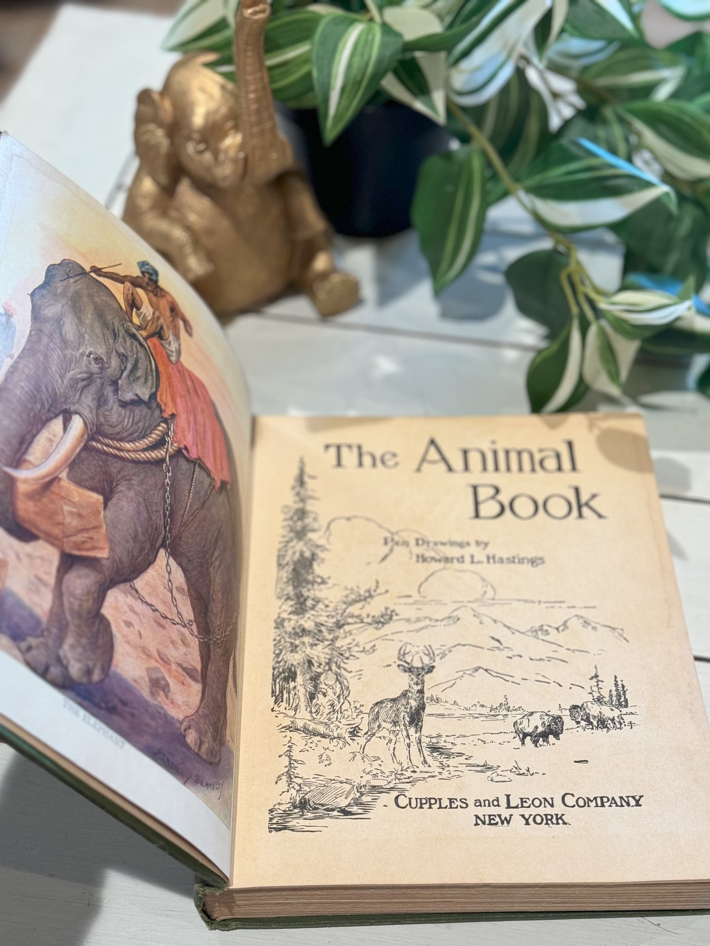 The Animal Book