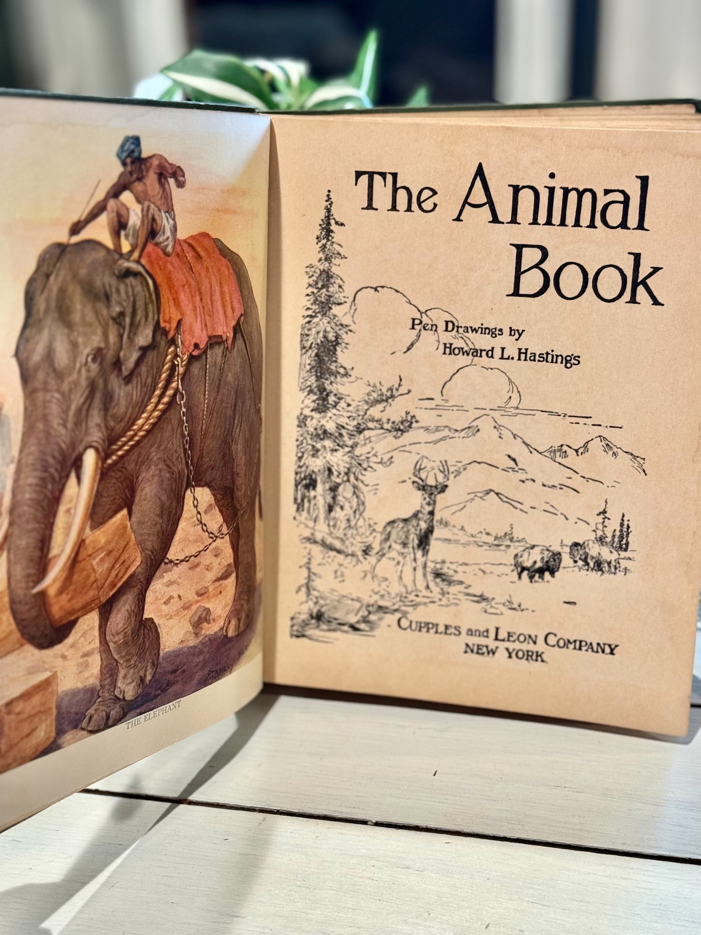 The Animal Book