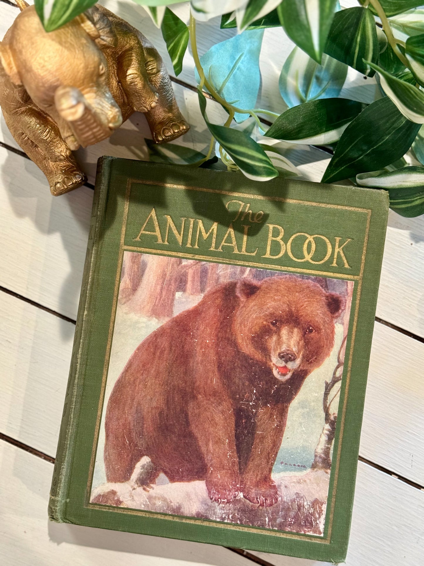 The Animal Book