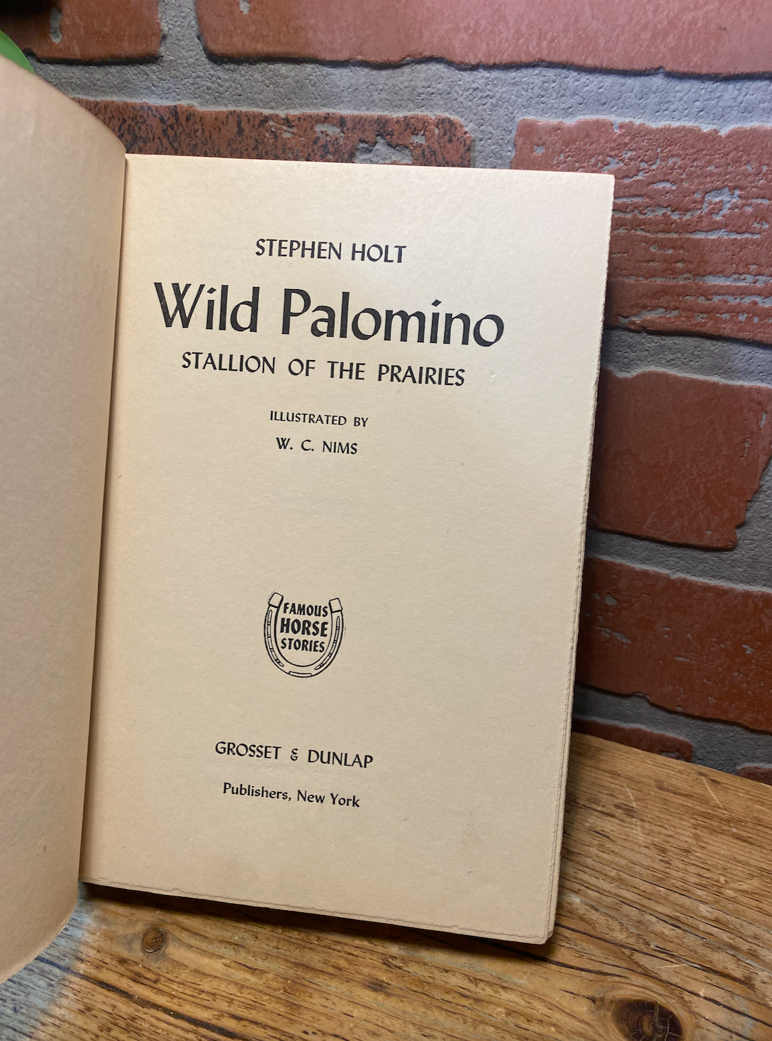 Wild Palomino- Stallion of the Prairies