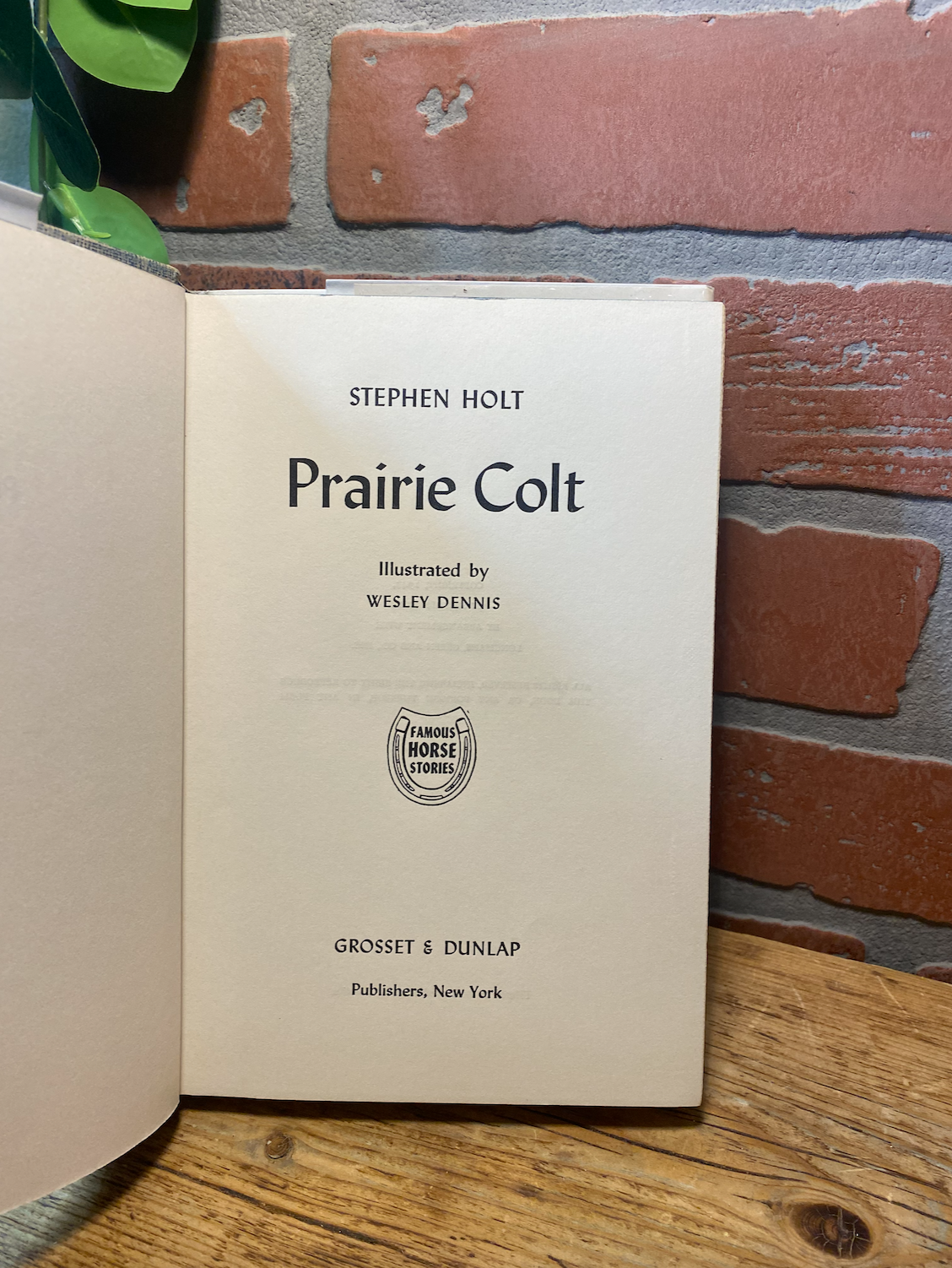 Prairie Colt