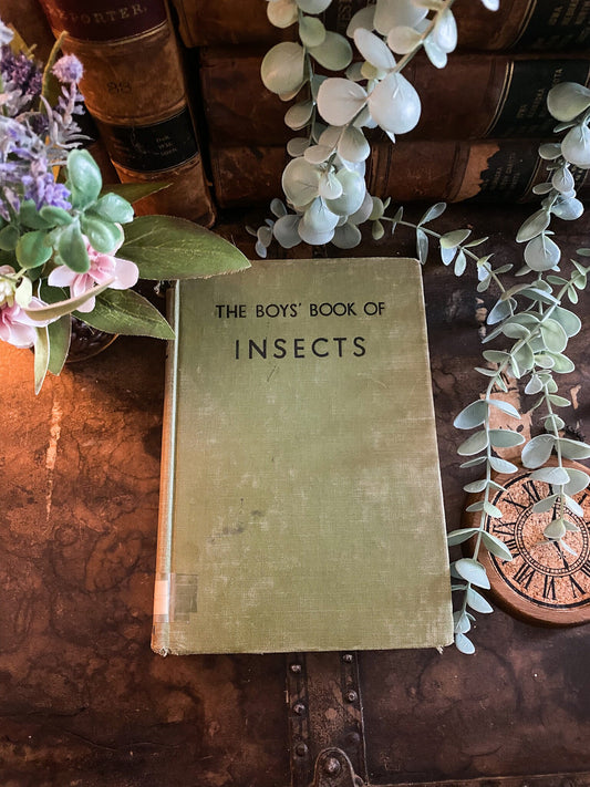 The Boy's Book of Insects