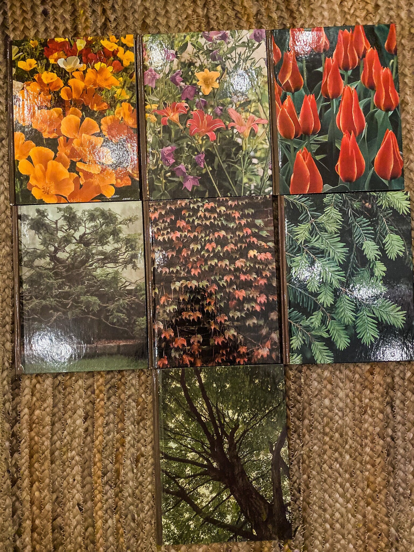 Time Life Encyclopedia of Gardening Collection