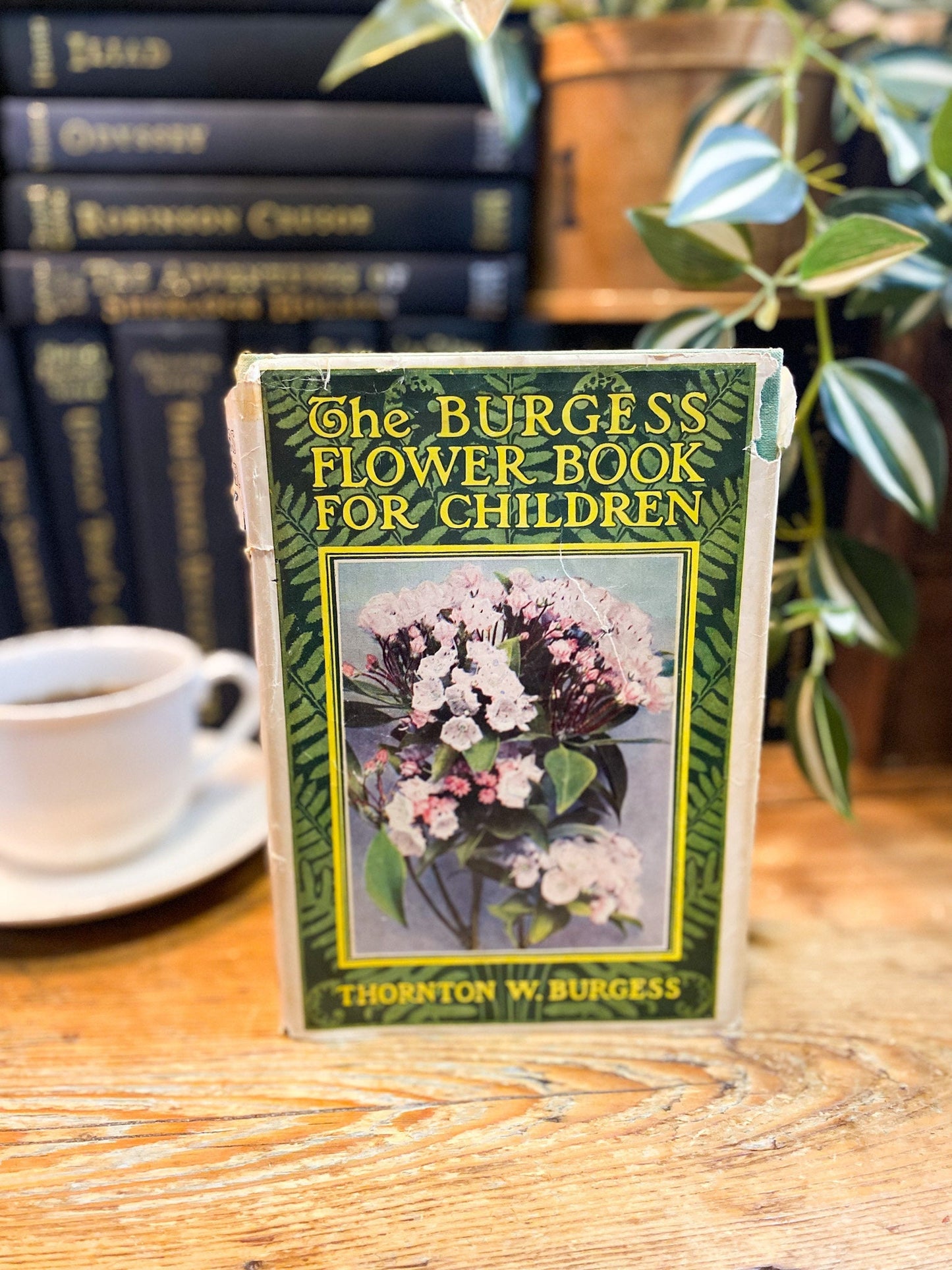 The Burgess Flower Book For Children