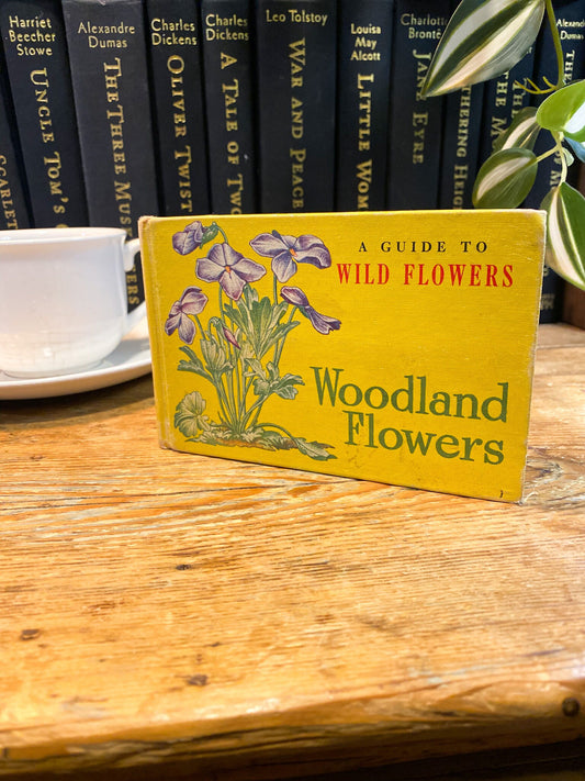 A Guide to Wildflowers- Woodland Flowers