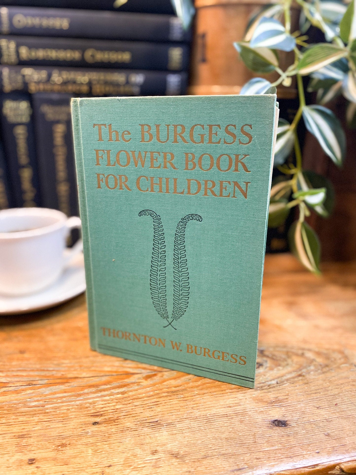 The Burgess Flower Book For Children